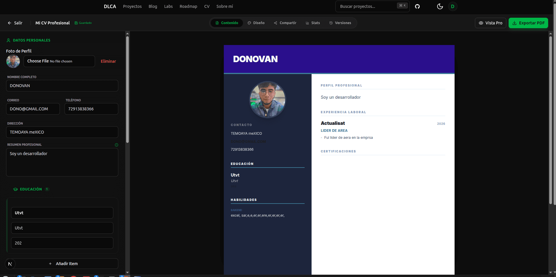 DLCA Pro: SaaS de Perfiles Profesionales